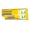 PINIMENTHOL Erkält.Salbe Euc/Kief/M Creme