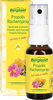 Bergland PROPOLIS RACHENSPRAY